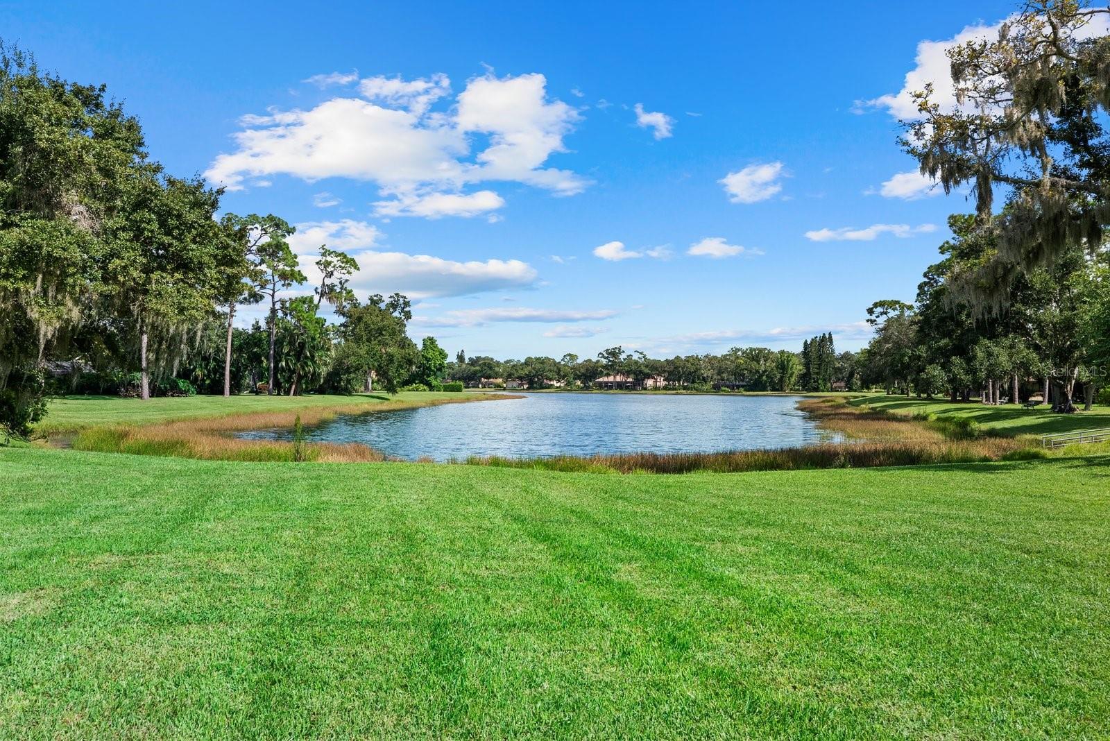 7303 WEEPING WILLOW DRIVE, Sarasota, FL 34241