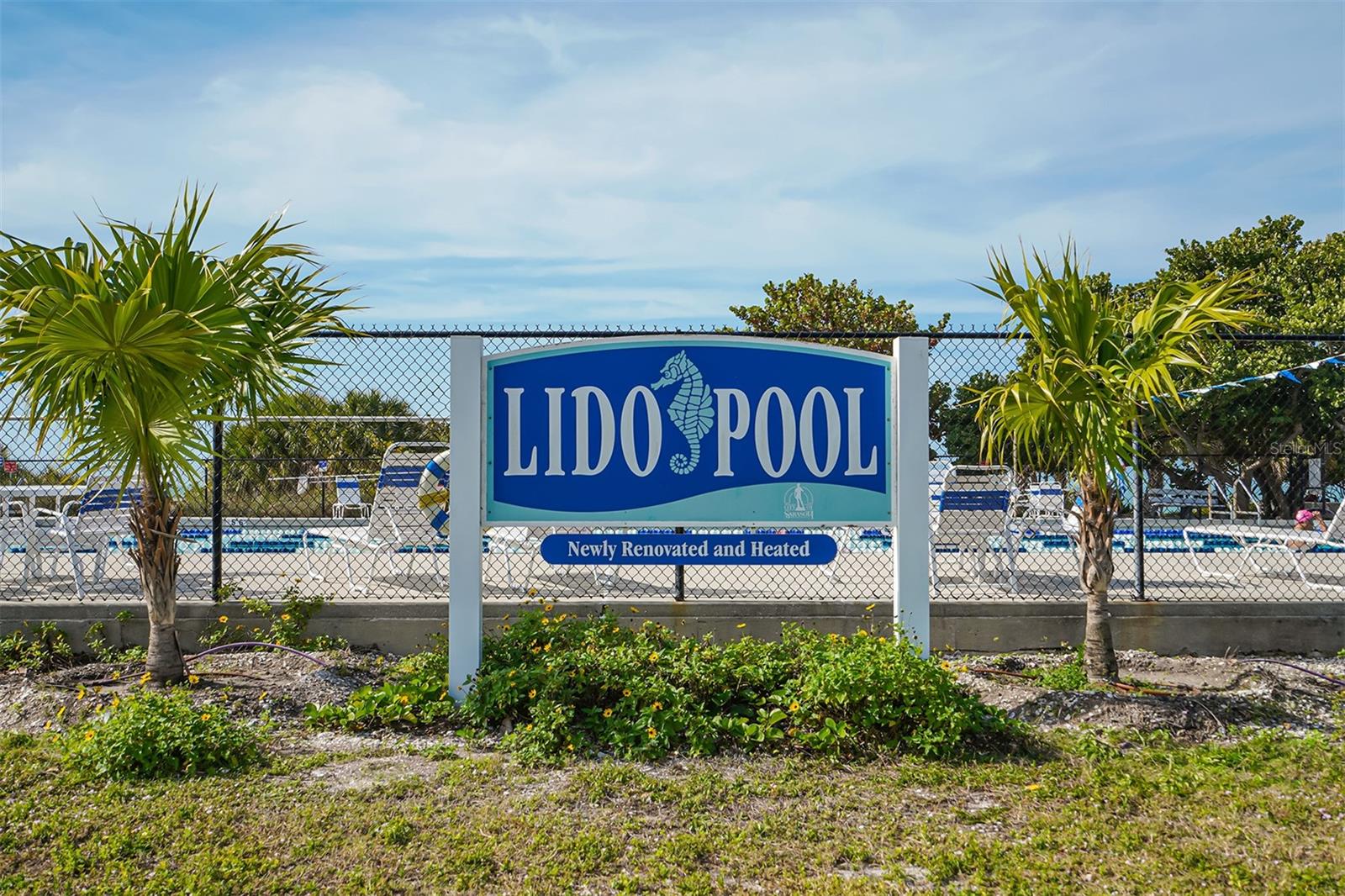 Lido Pool at Lido Beach offers a refreshing coastal escape, surrounded by swaying palms and the beautiful white sands.