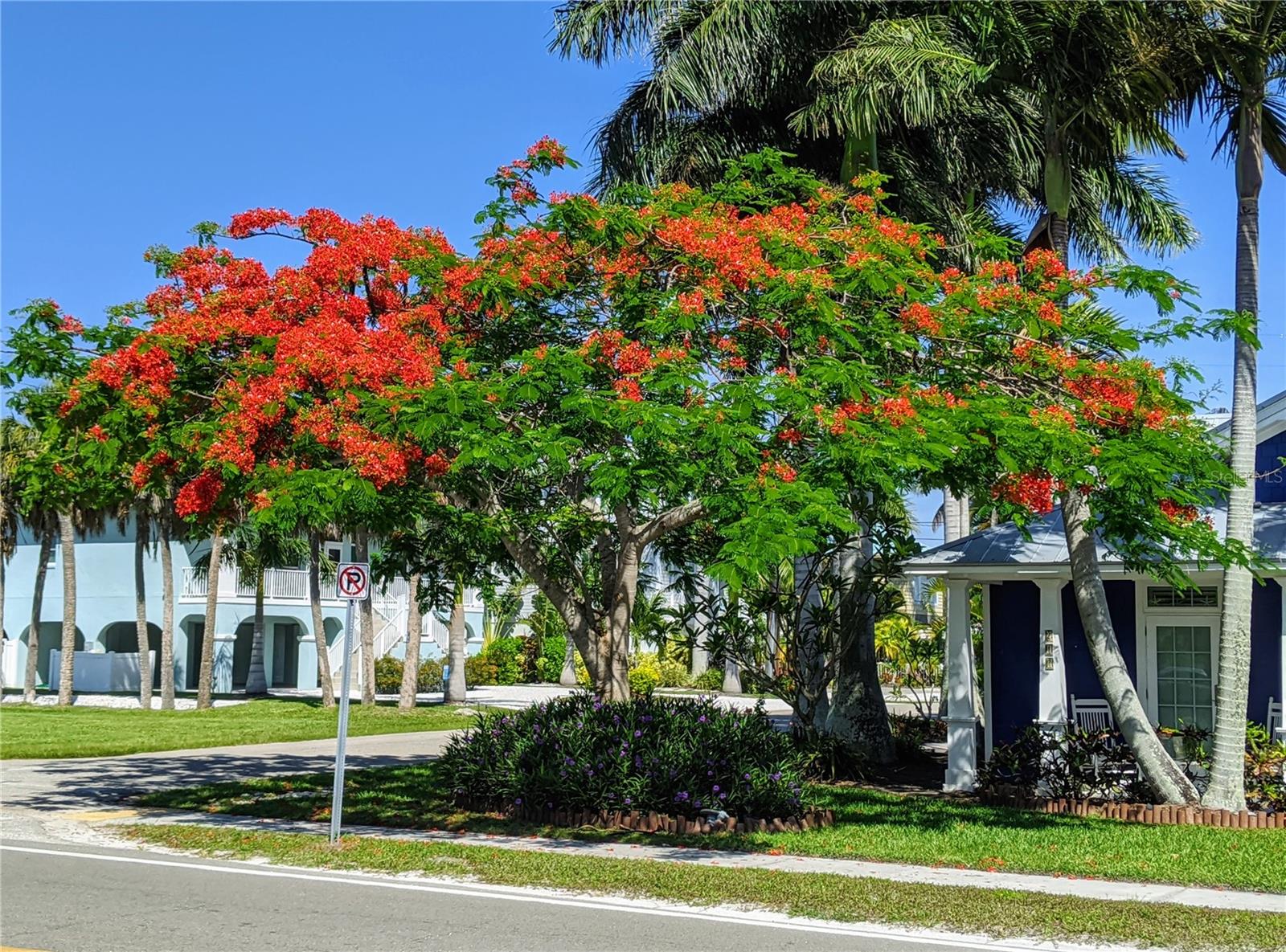 4133 HERON WAY, #E-202, Bradenton, FL 34205