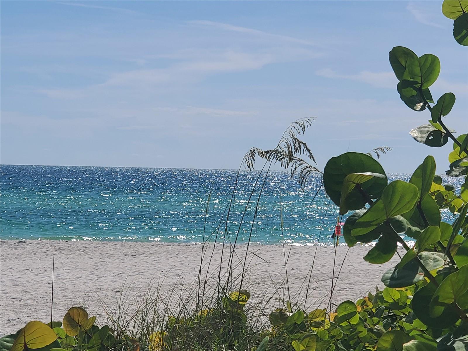 Coquina Beach- 1.5 Miles Away
