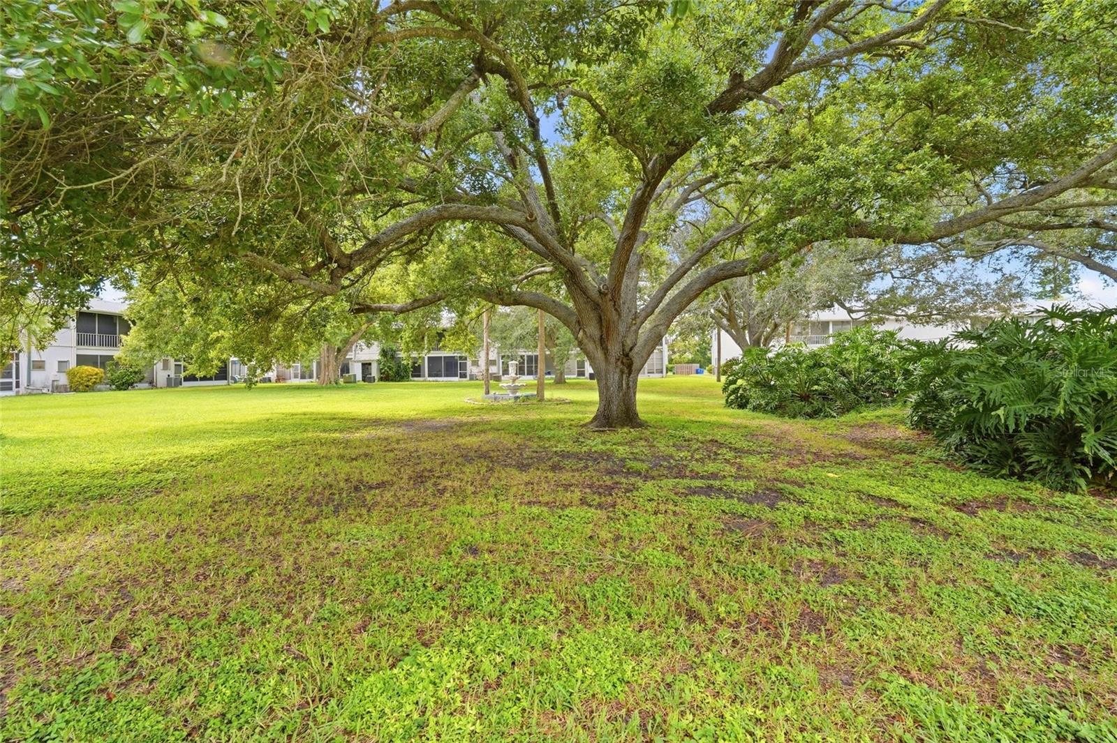 4506 3RD STREET CIRCLE W, #256, Bradenton, FL 34207