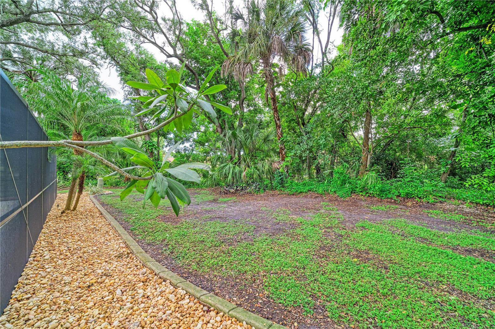 Back Yard 02