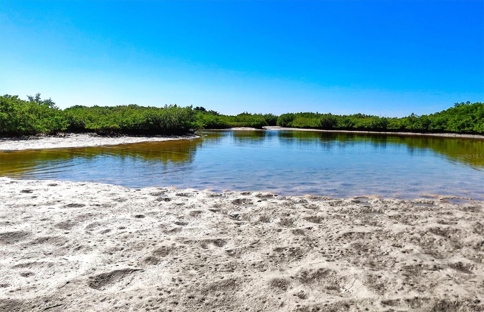 17216 SCUBA CREST STREET, Wimauma, FL 33598