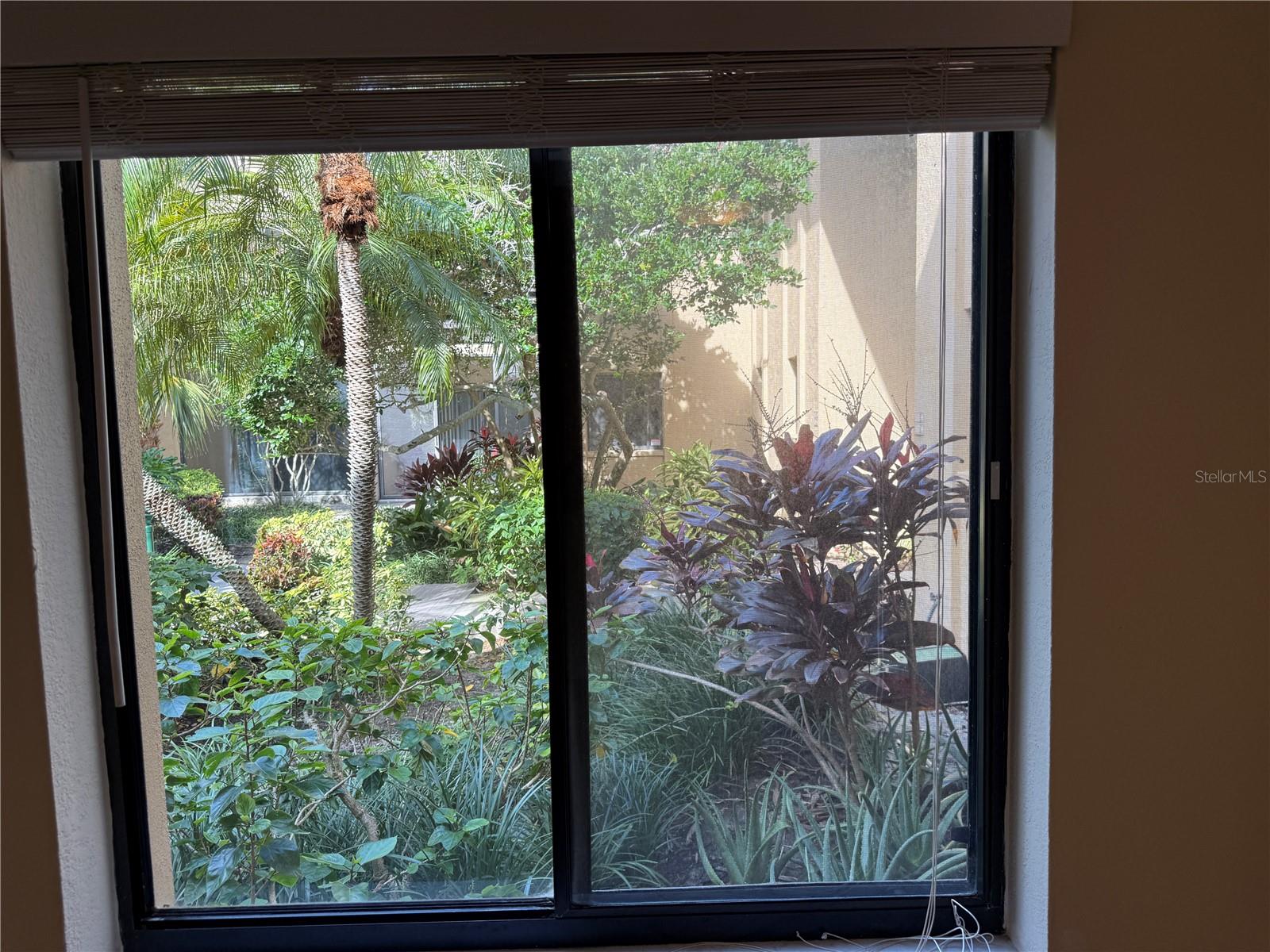 view from guest bedroom