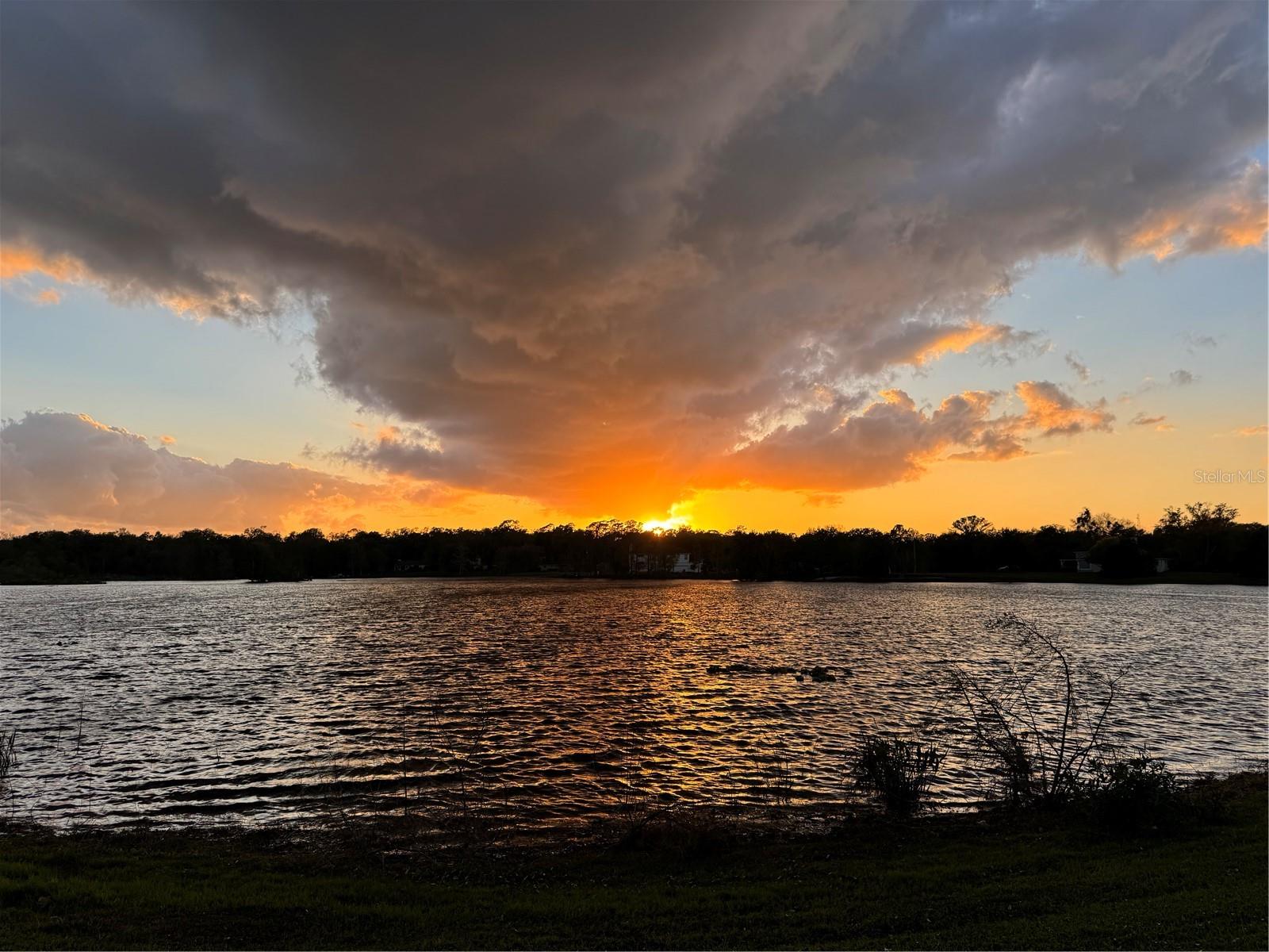 1940 DEERVIEW PLACE, Longwood, FL 32750