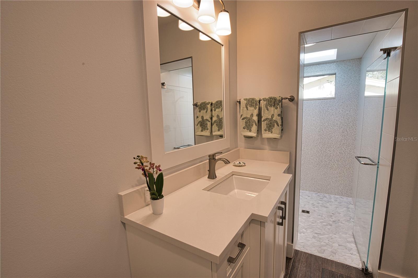 Guest Bath with Sky Light