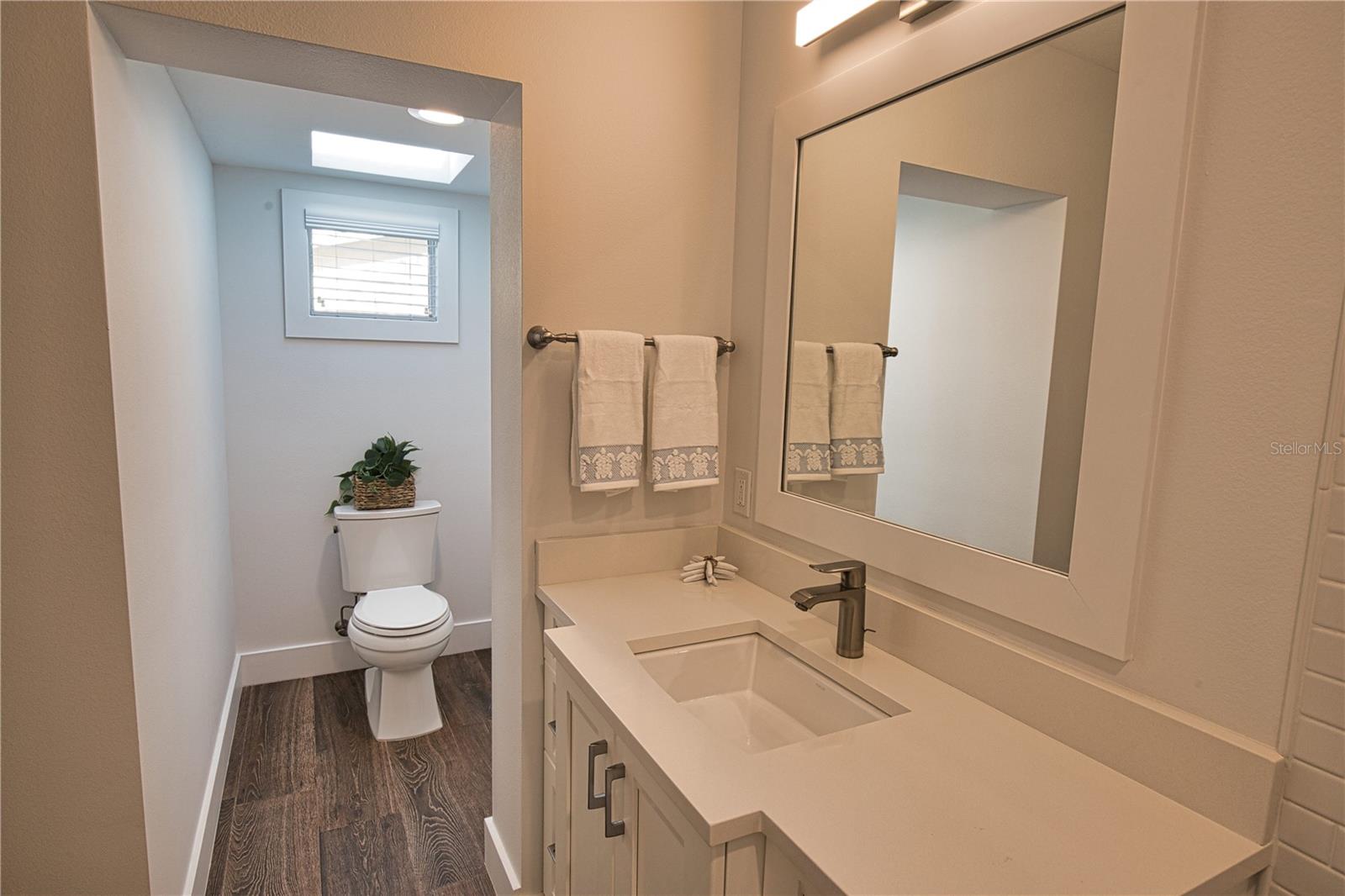 Guest Bath with Sky Light