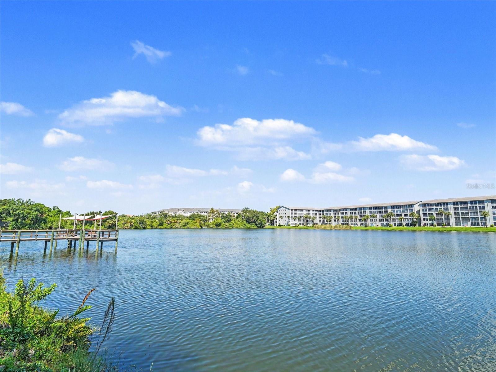 Lake and Community Dock