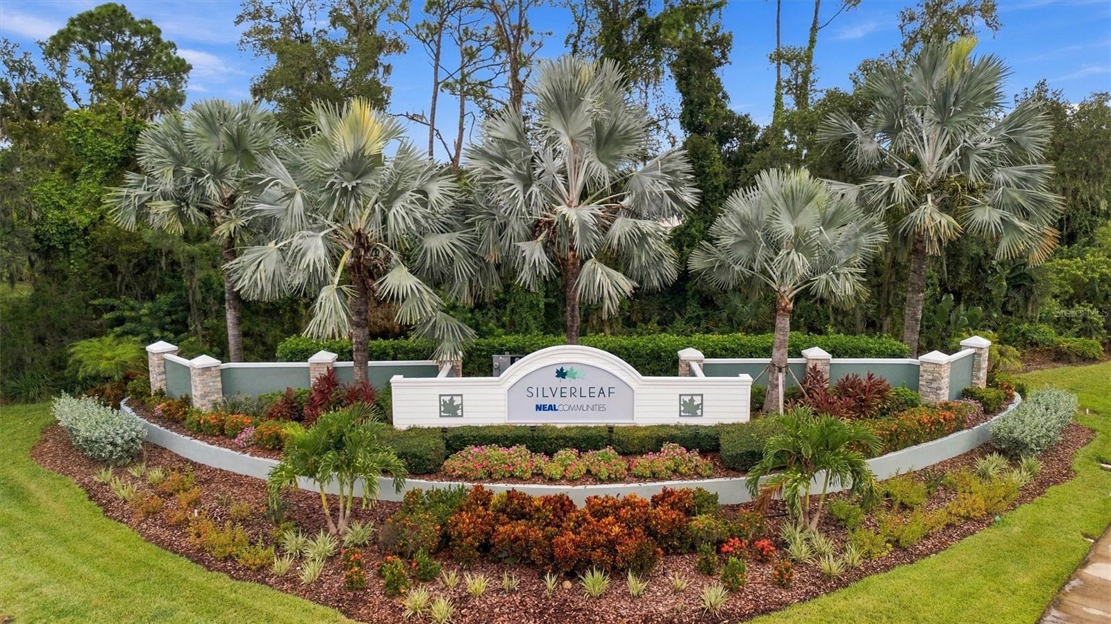 Welcome to Silverleaf - Enjoy an array of amenities