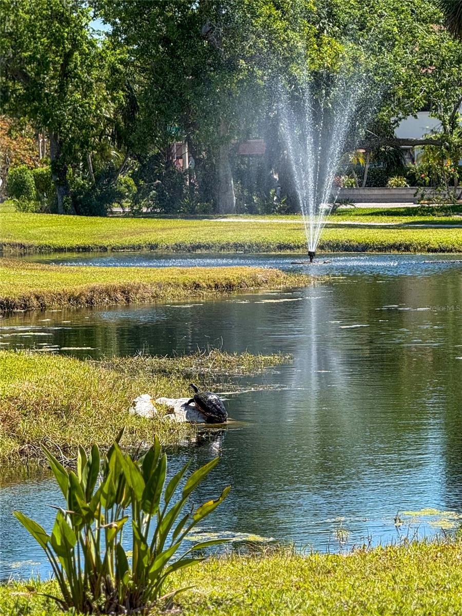 4640 RED MAPLE ROAD, #1208, Bradenton, FL 34210