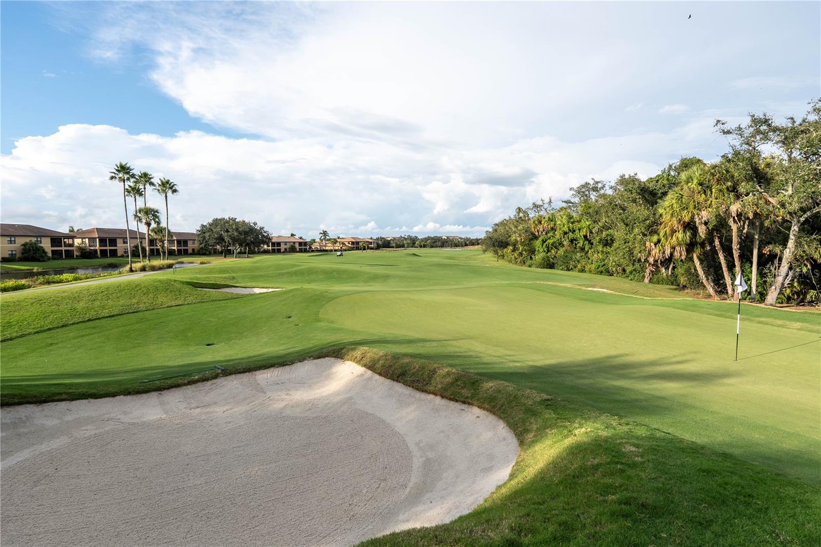 Fairway