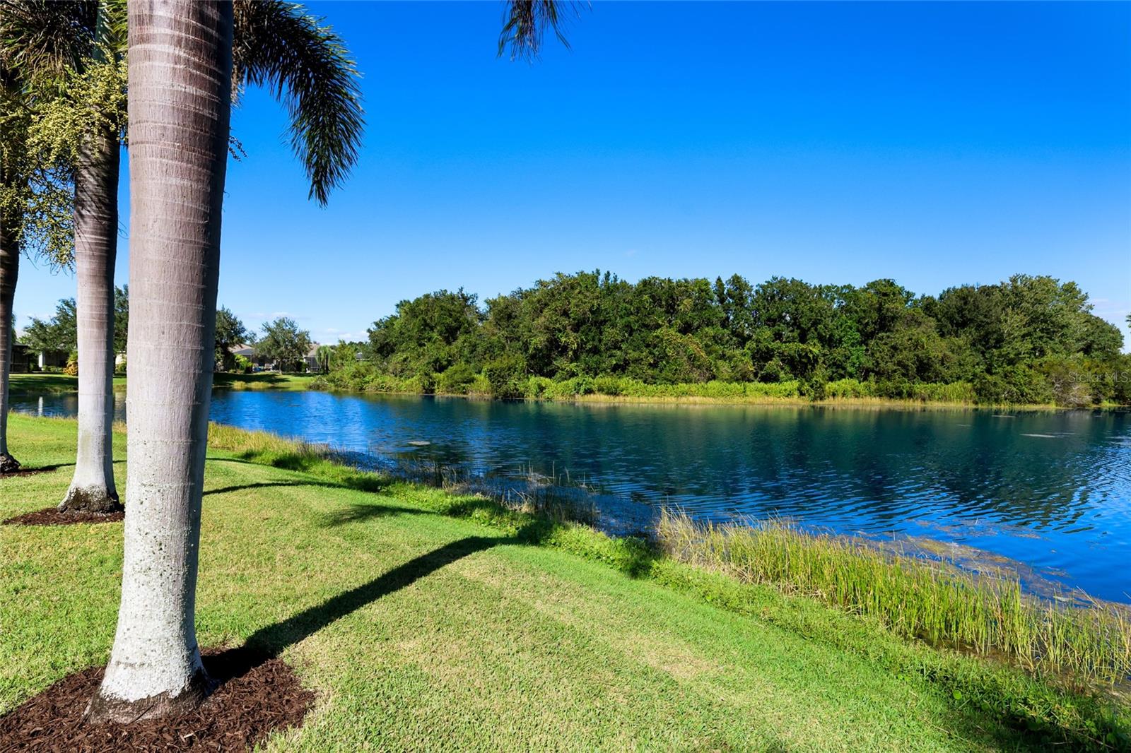 11212 WHITE ROCK TERRACE, Bradenton, FL 34211