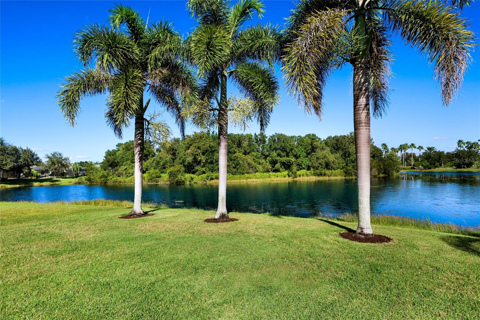 11212 WHITE ROCK TERRACE, Bradenton, FL 34211
