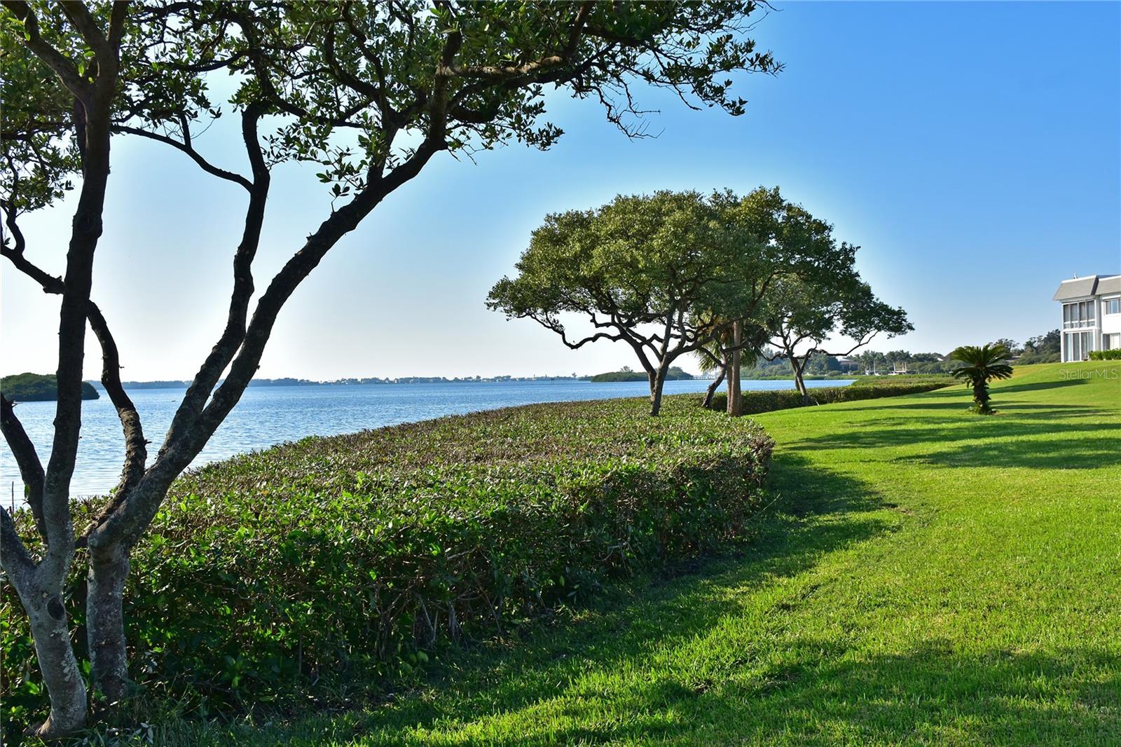 Mt Vernon Sarasota Bay coastline