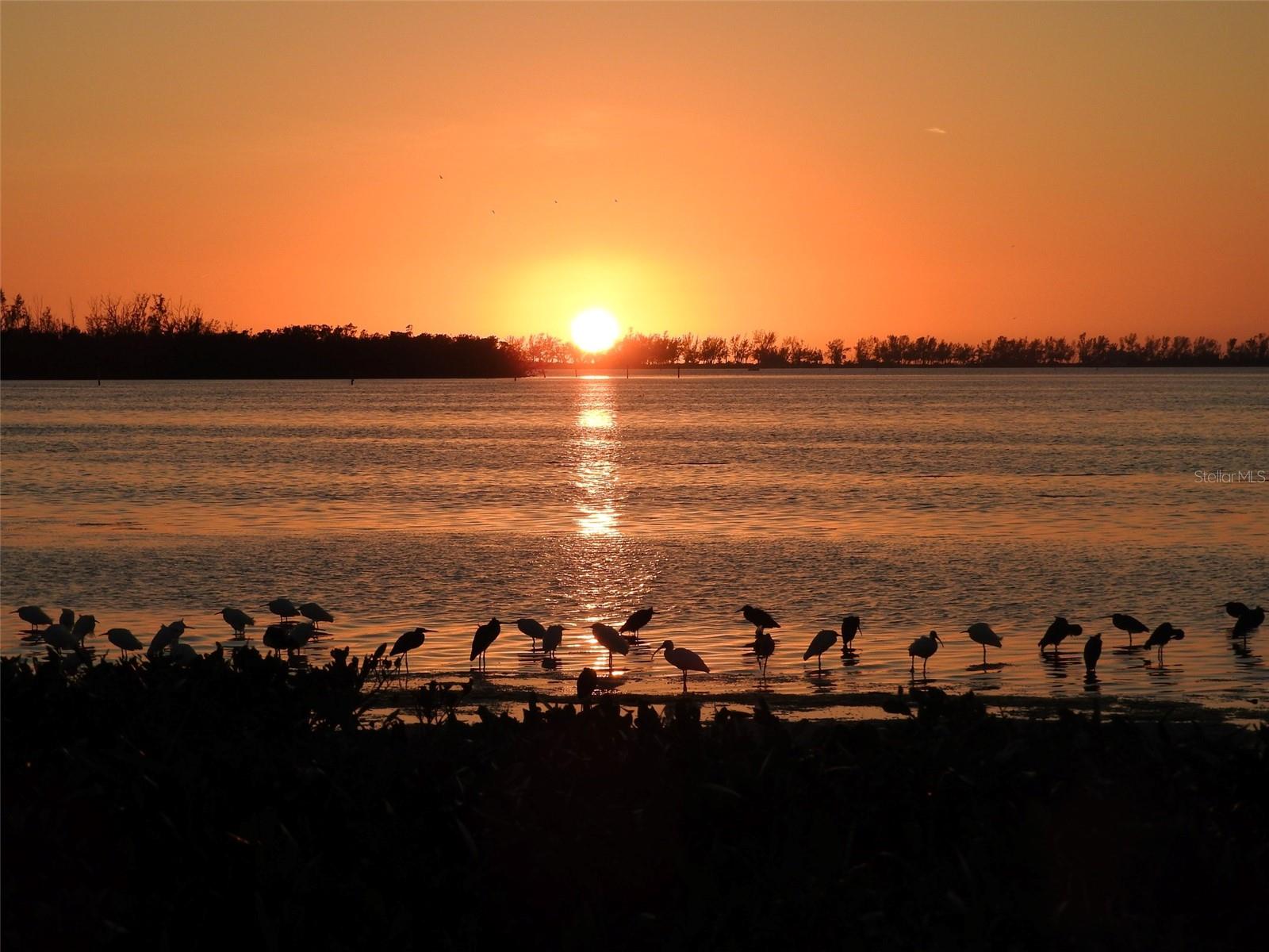 Mt Vernon Sunset