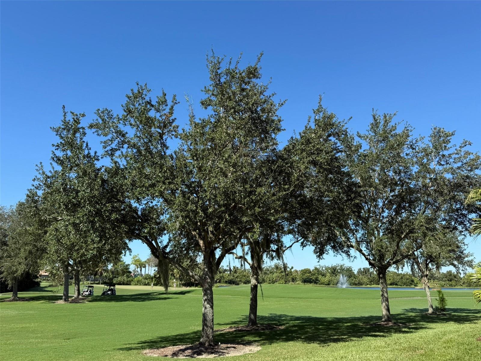 310 WINDING BROOK LANE, #102, Bradenton, FL 34212