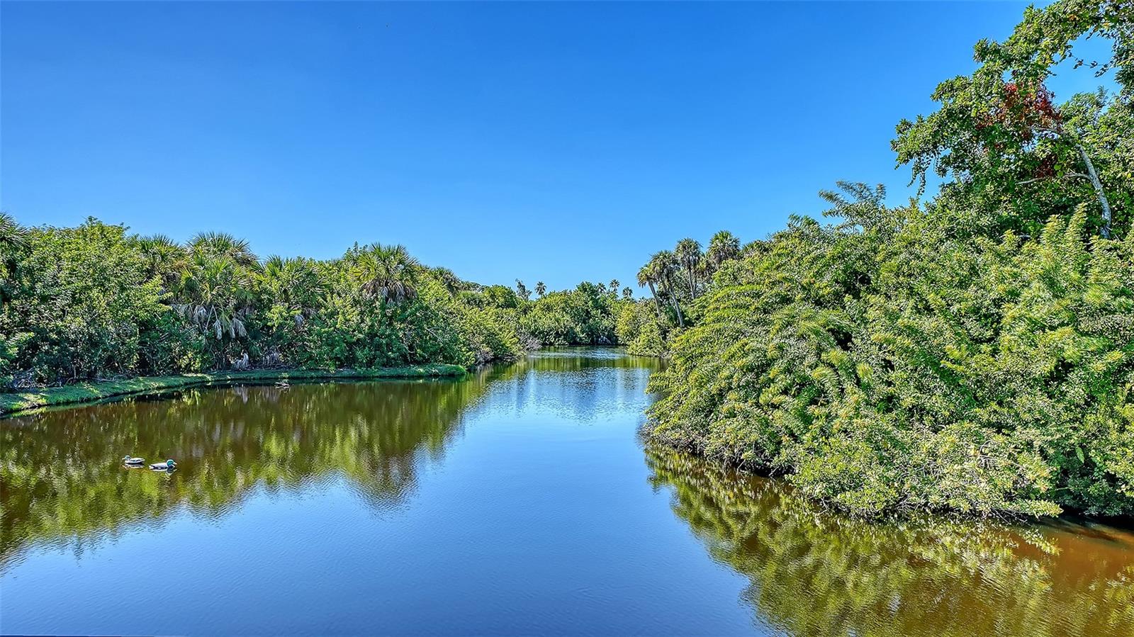 455 OAK POINT ROAD, Osprey, FL 34229