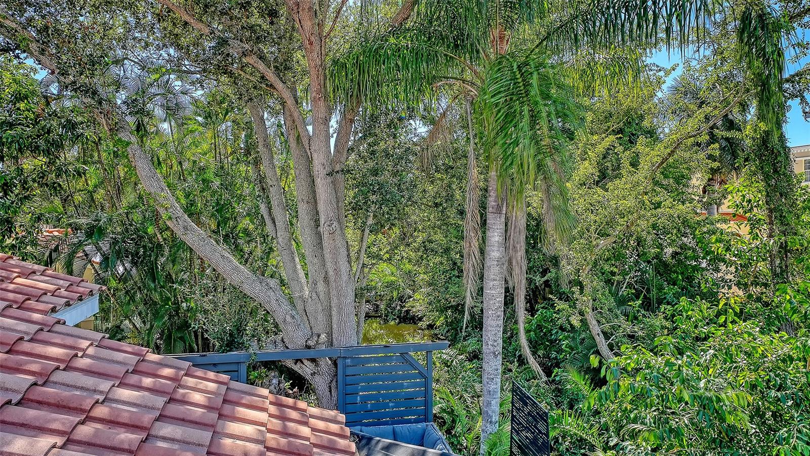 455 OAK POINT ROAD, Osprey, FL 34229