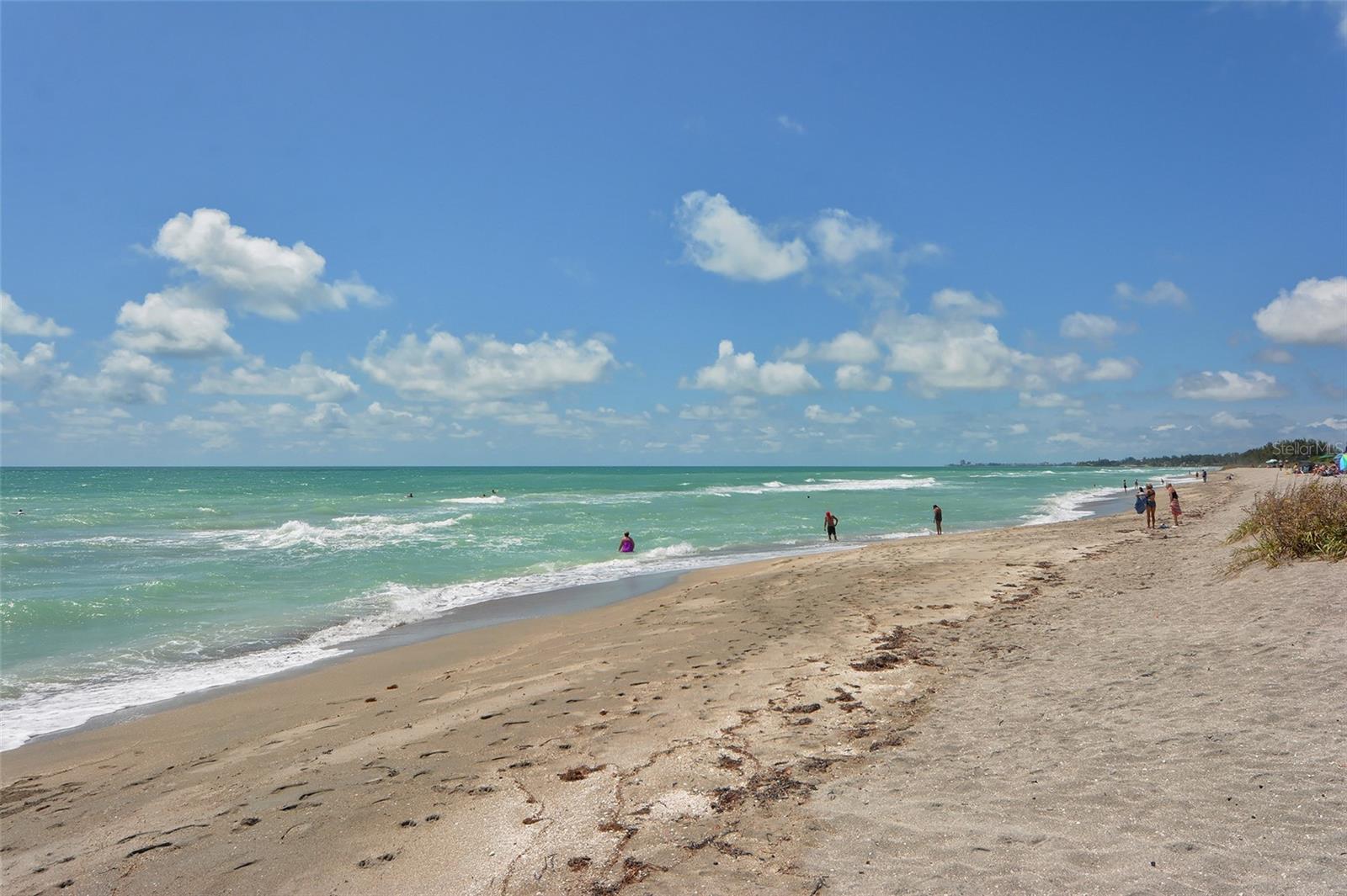 Turtle Beach