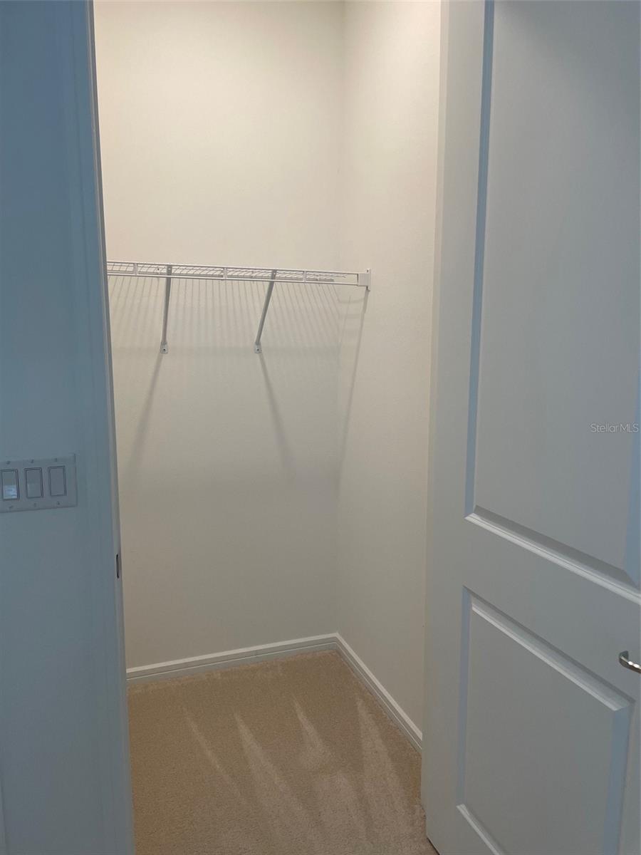 Closet in guest bedroom