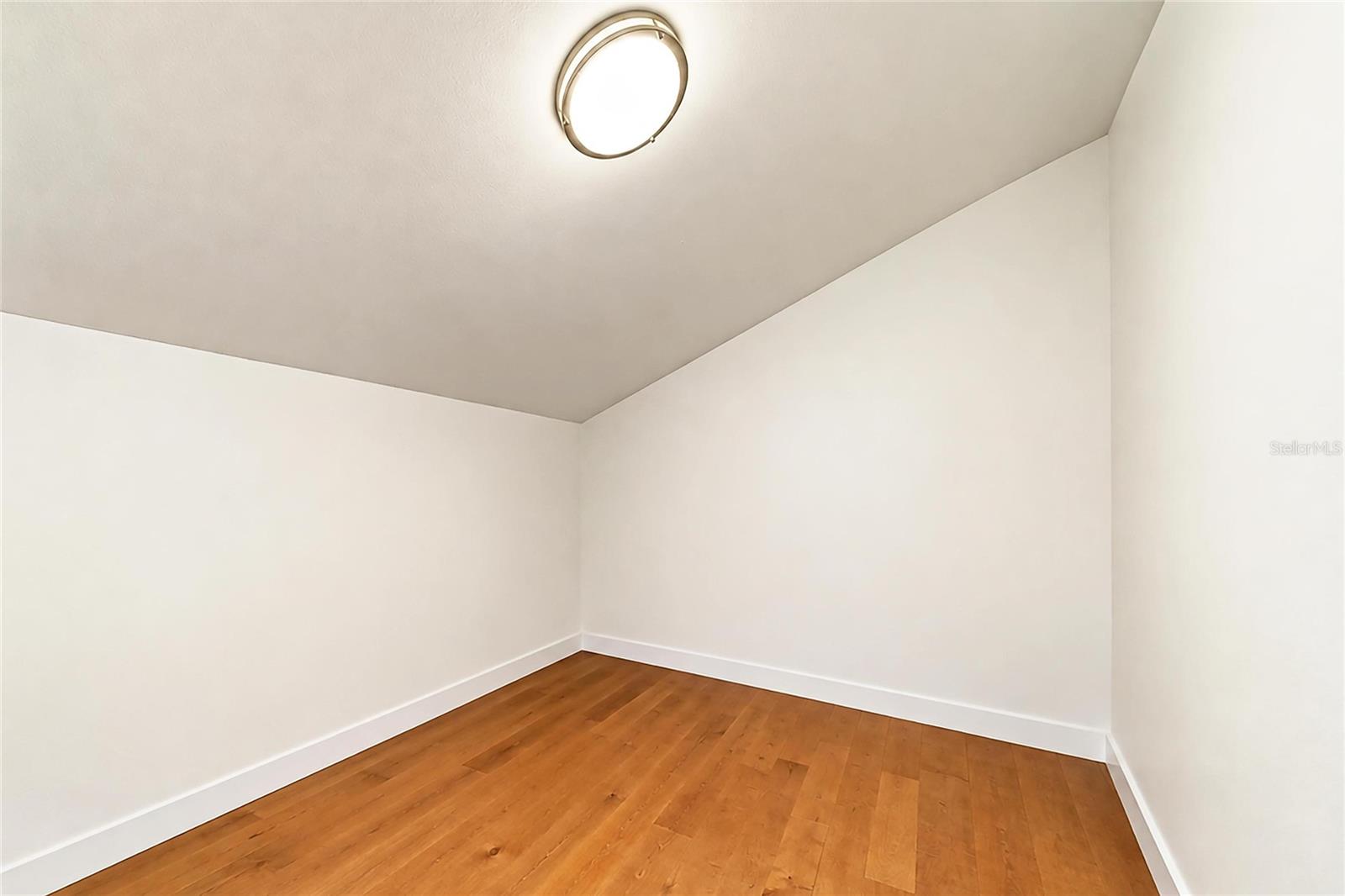 Bonus room off of the loft that can be turned into a media room, library, or even bathroom