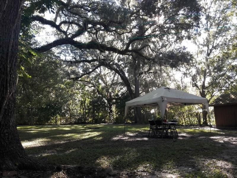 Backyard Backyard