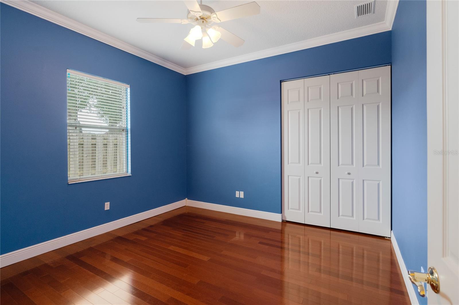 Current wall color