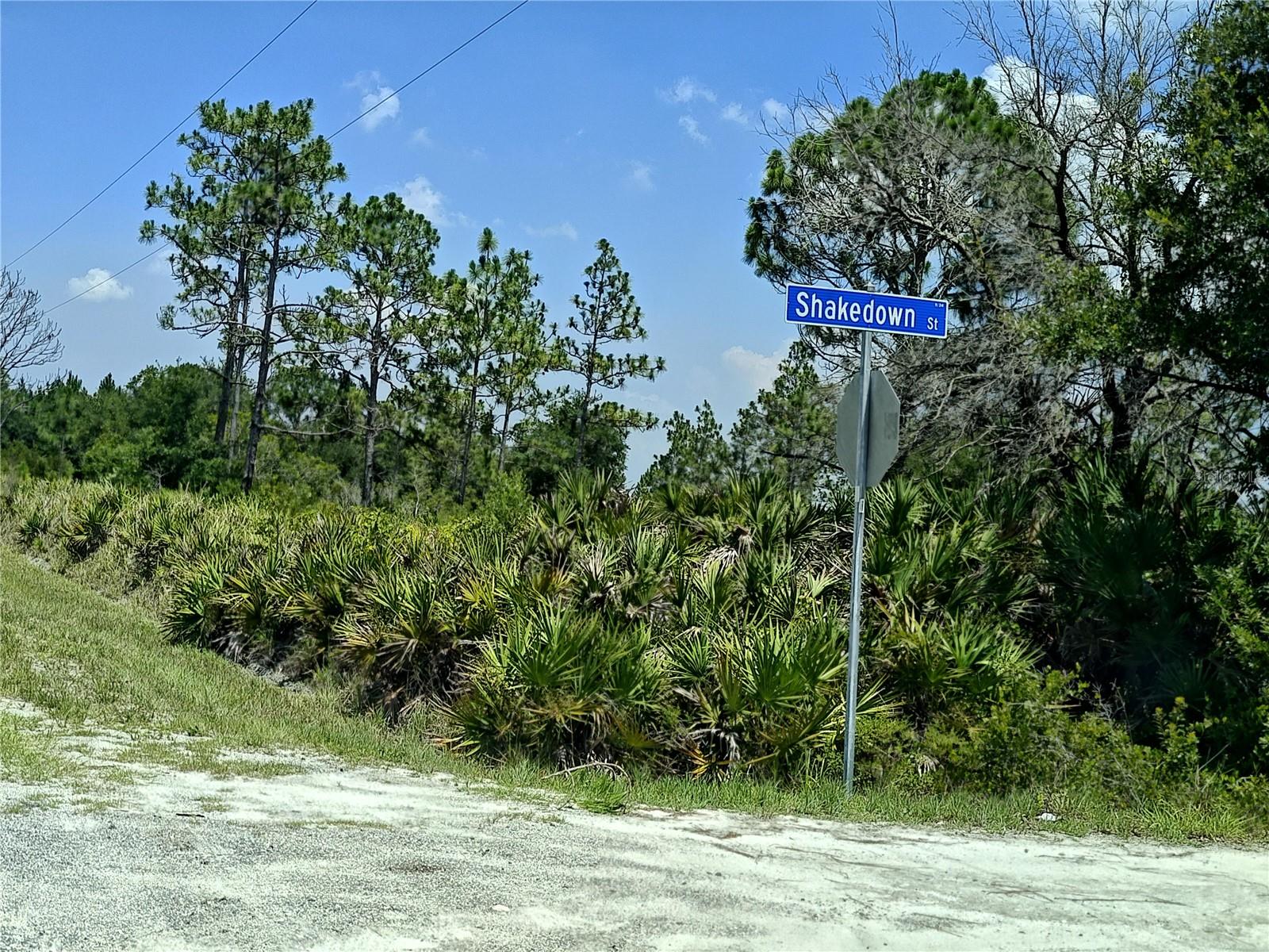 SHAKEDOWN STREET, St Cloud, FL 34773