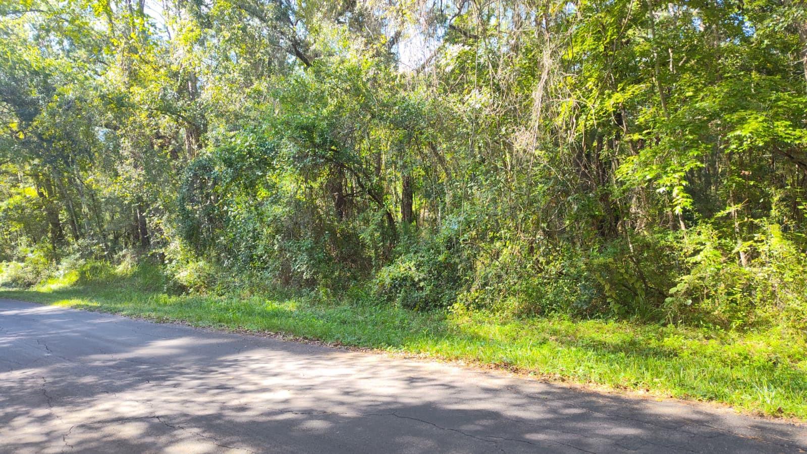 19289 CENTER STREET, Brooksville, FL 34601