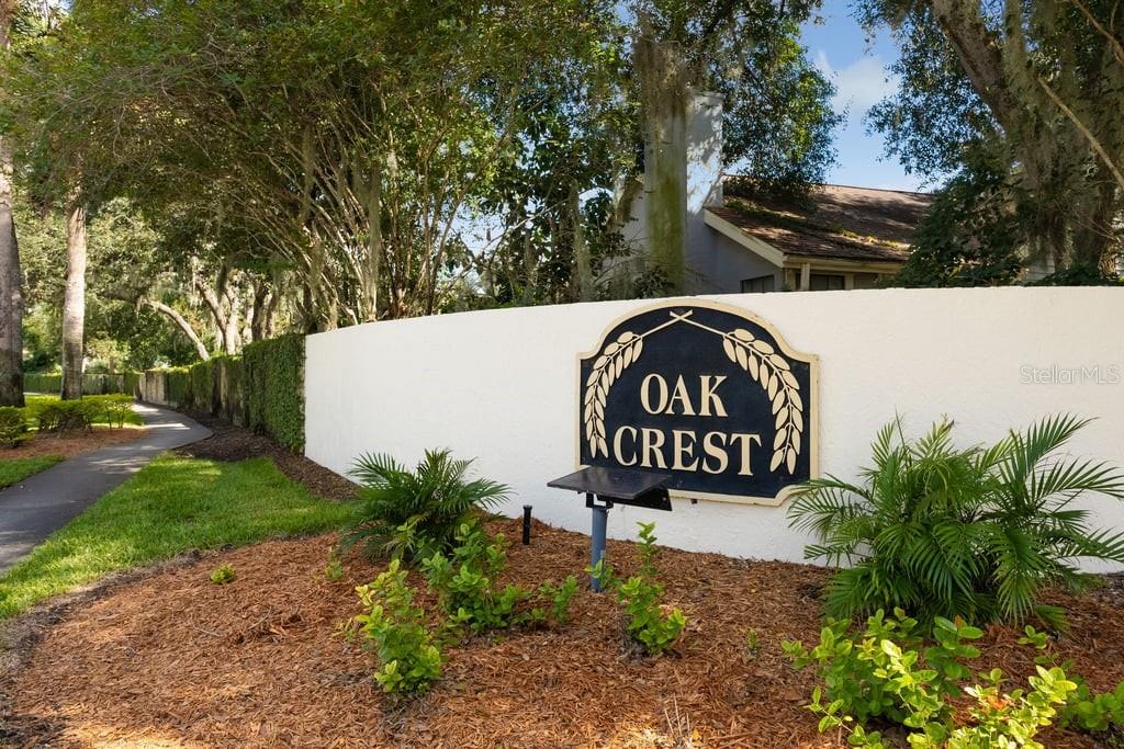 4119 MORELAND DRIVE, Valrico, FL 33596