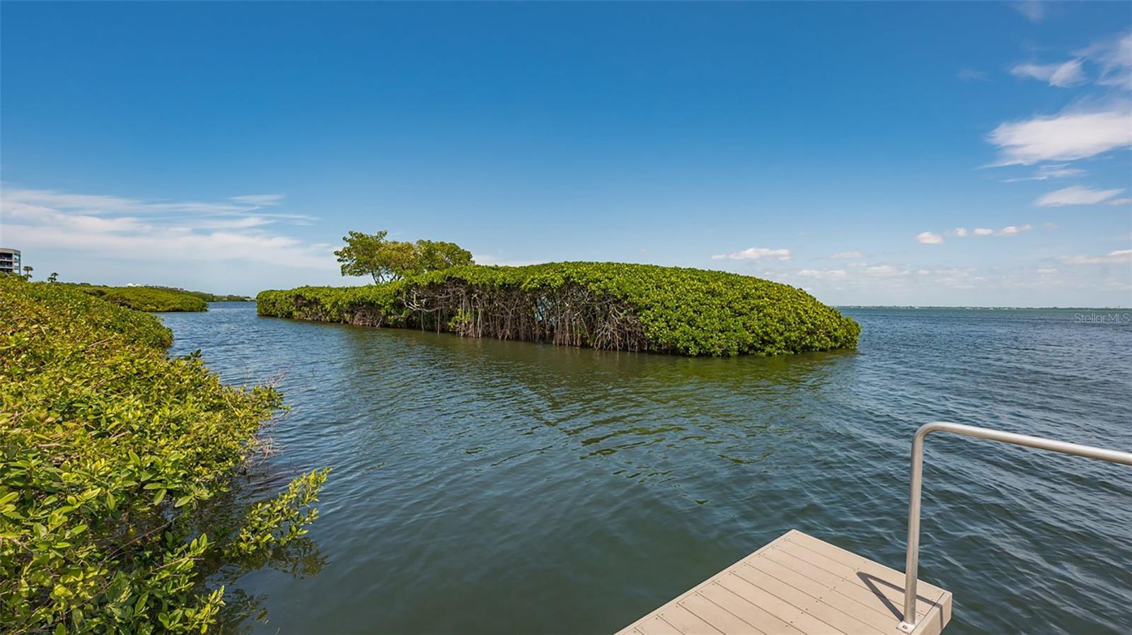2110 HARBOURSIDE DRIVE, #523, Longboat Key, FL 34228