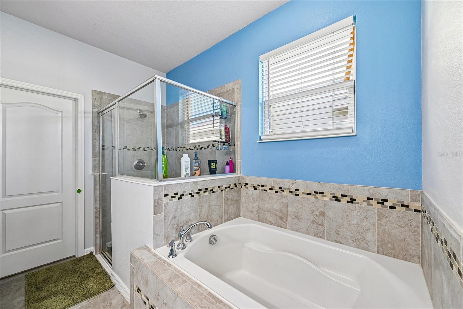 11103 SPRING POINT CIRCLE, Riverview, FL 33579