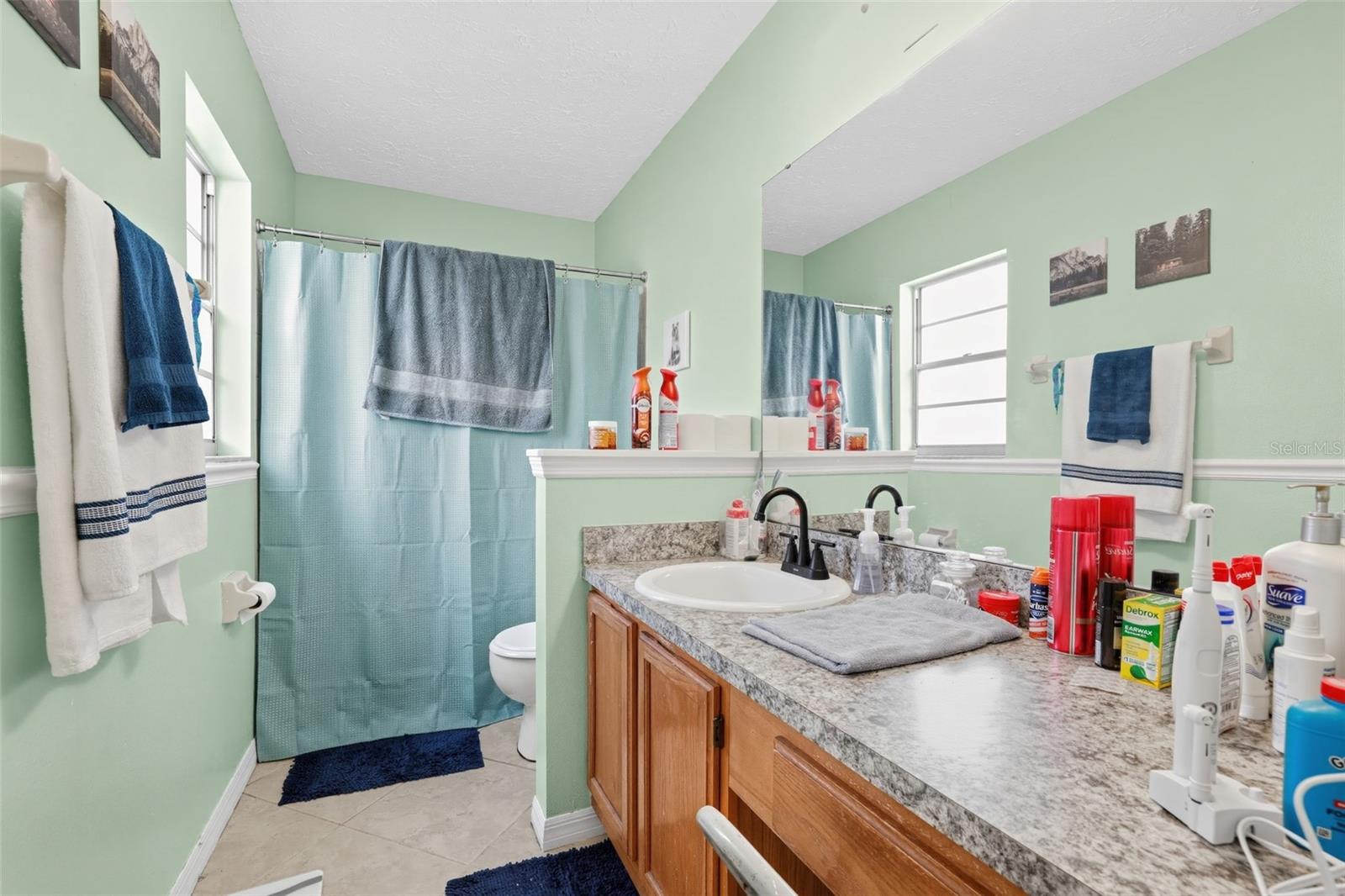 1805 LAKEWIND DRIVE, Brandon, FL 33510