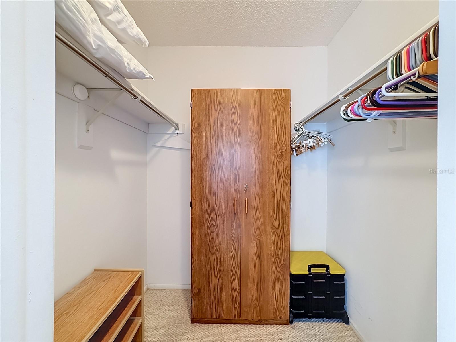 walk in closet- primary bedroom