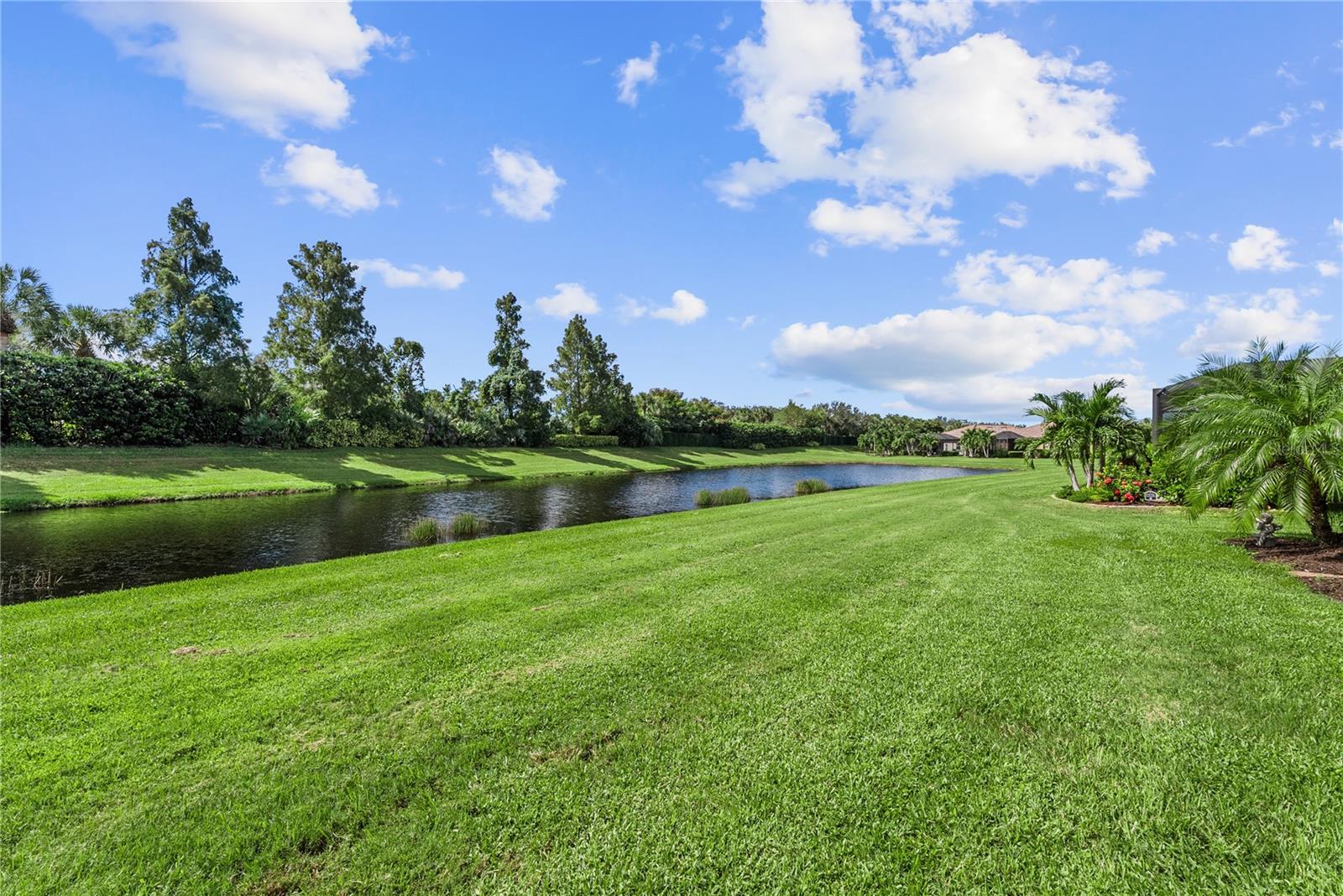 Beautiful water view and preserve behind home