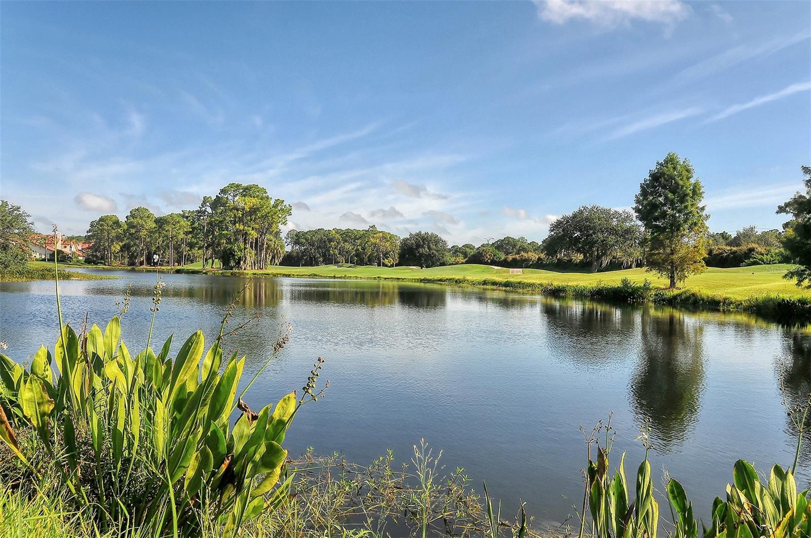 4543 LAS BRISAS LANE, Sarasota, FL 34238