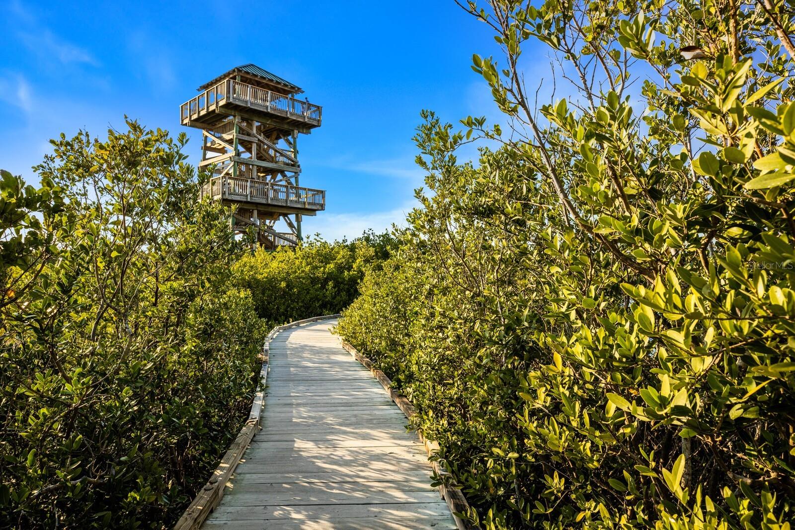 Robinson Preserve