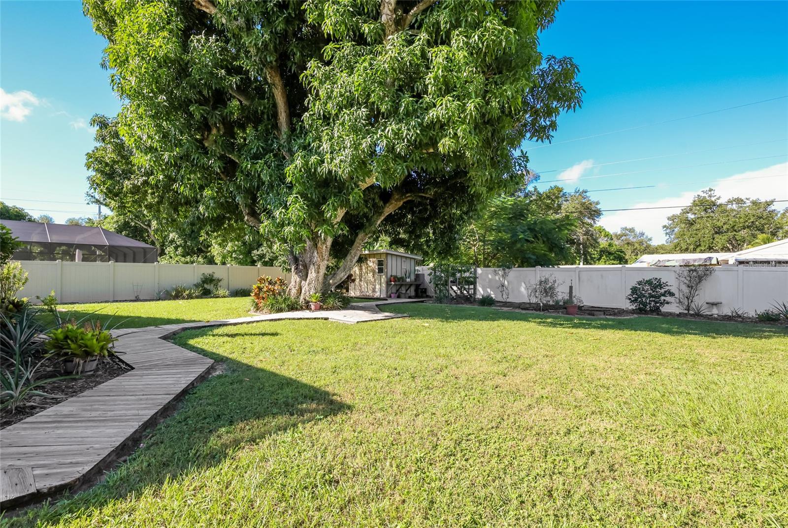 Private backyard oasis