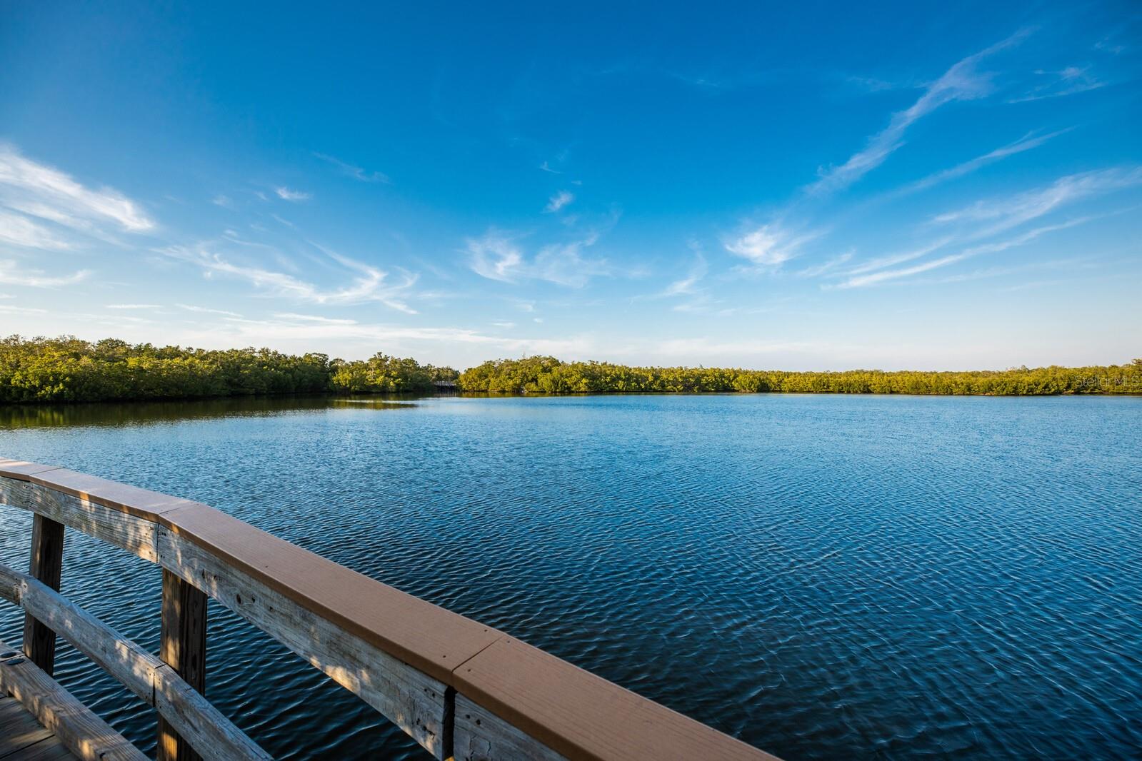Robinson Preserve