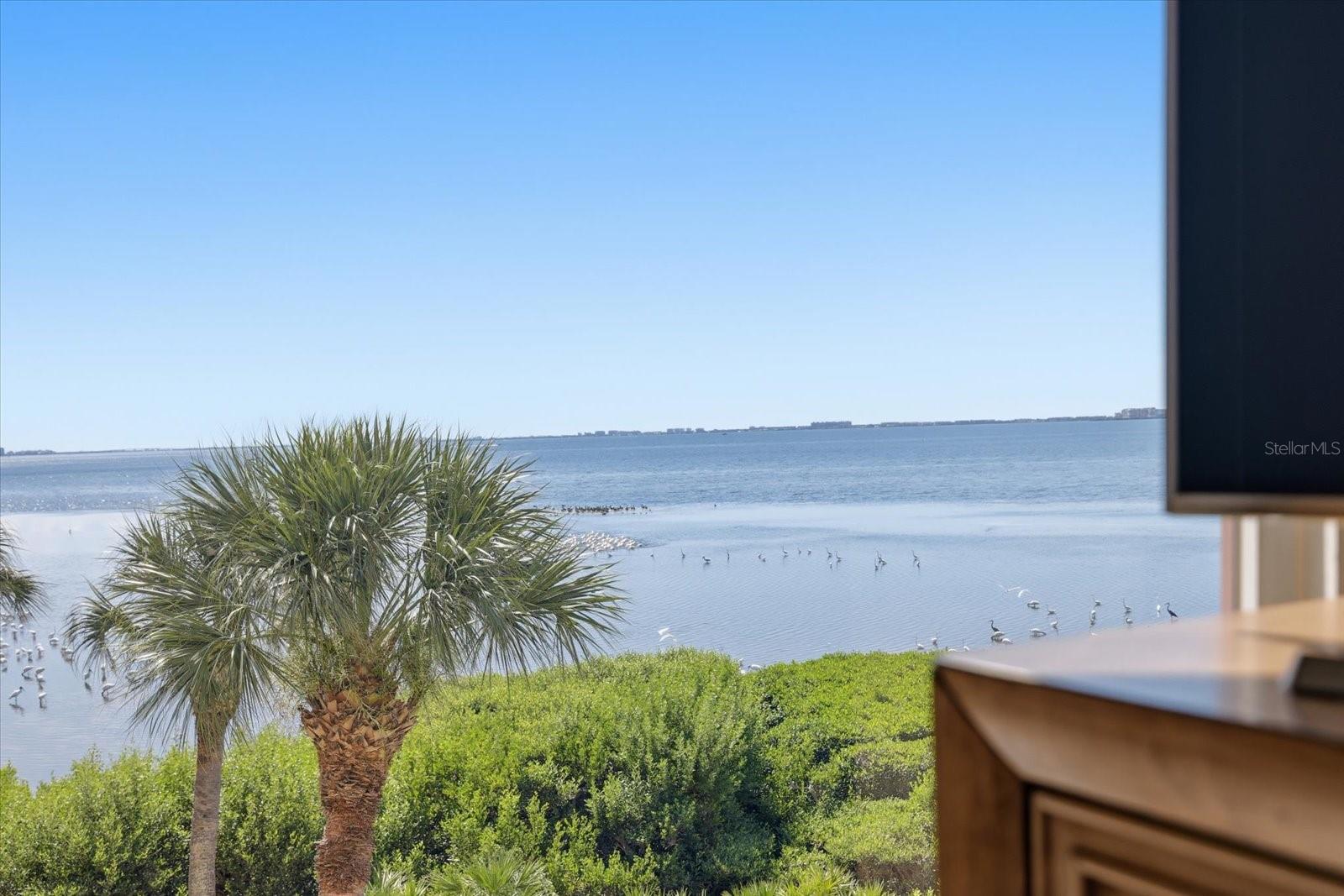 6460 MOURNING DOVE DRIVE, #305, Bradenton, FL 34210