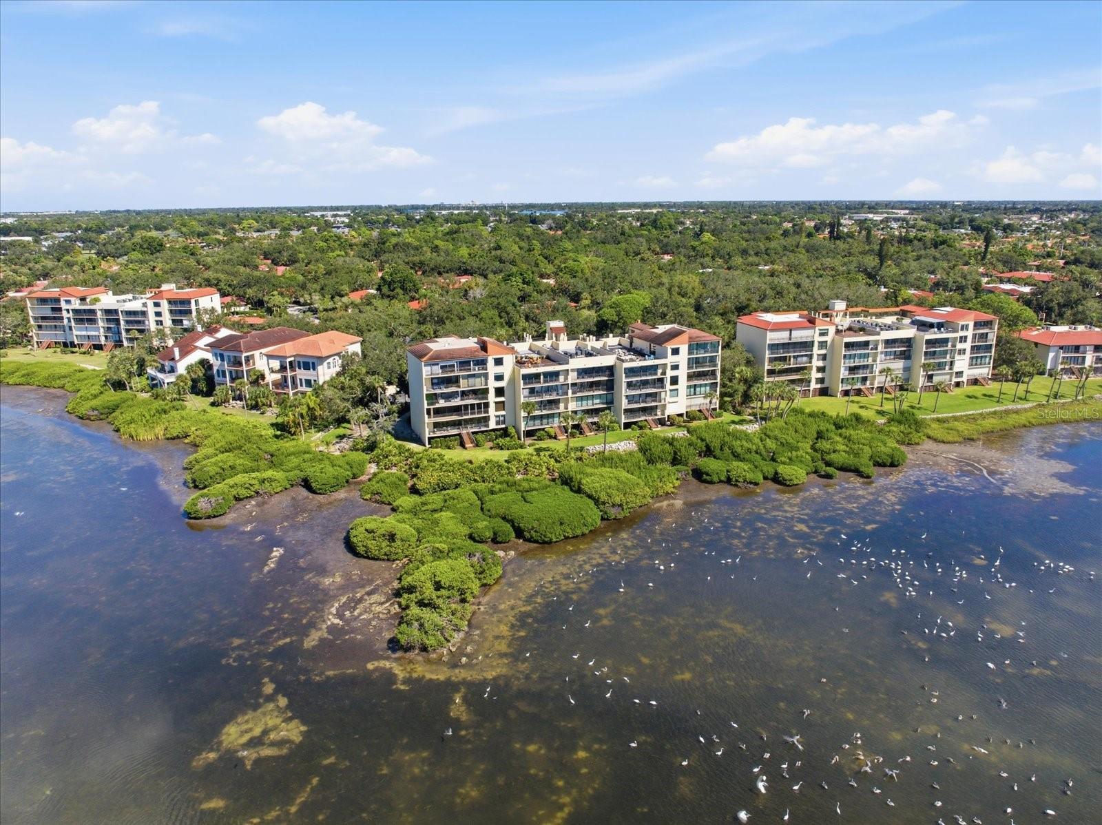 6460 MOURNING DOVE DRIVE, #305, Bradenton, FL 34210
