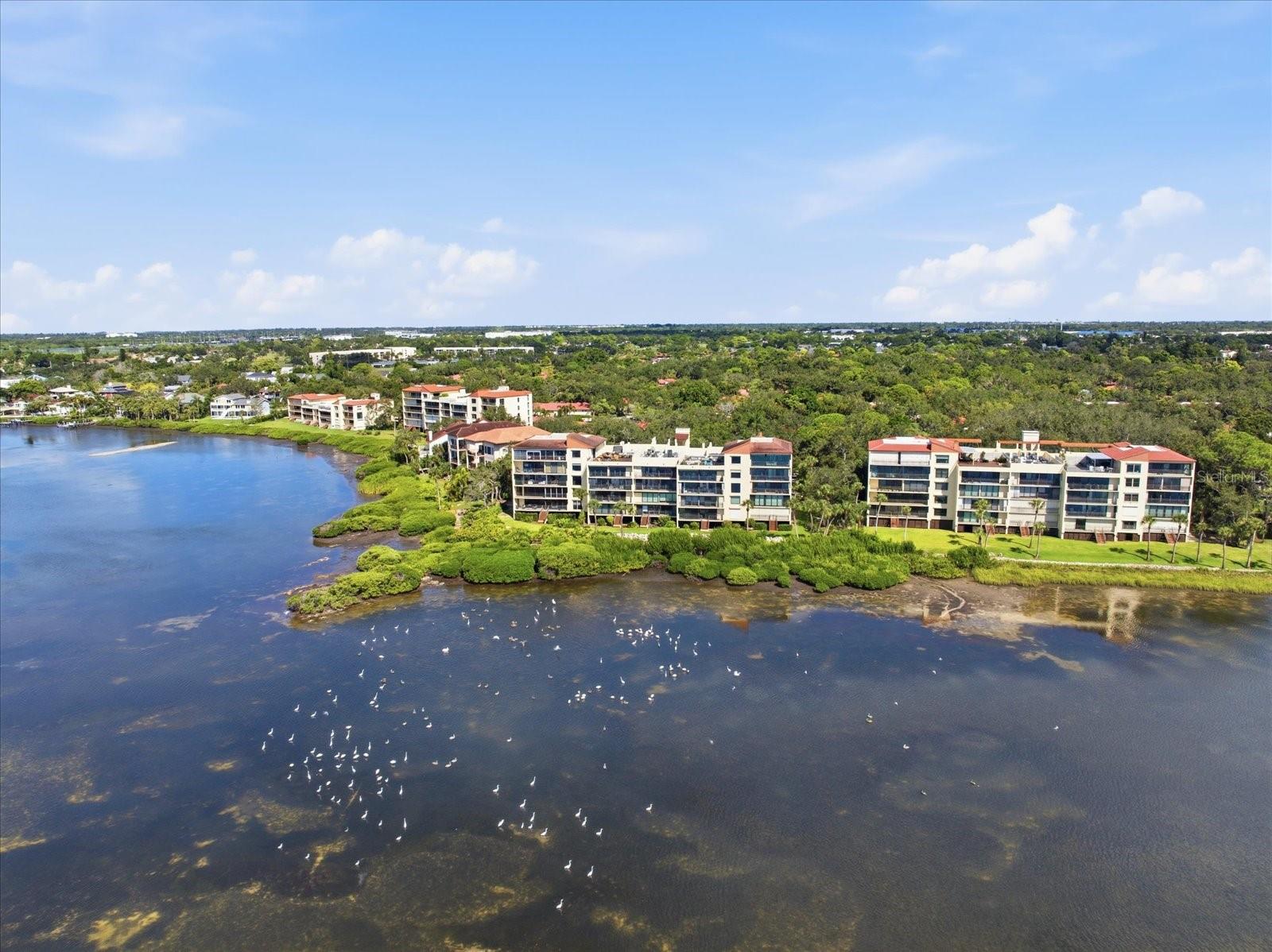 6460 MOURNING DOVE DRIVE, #305, Bradenton, FL 34210