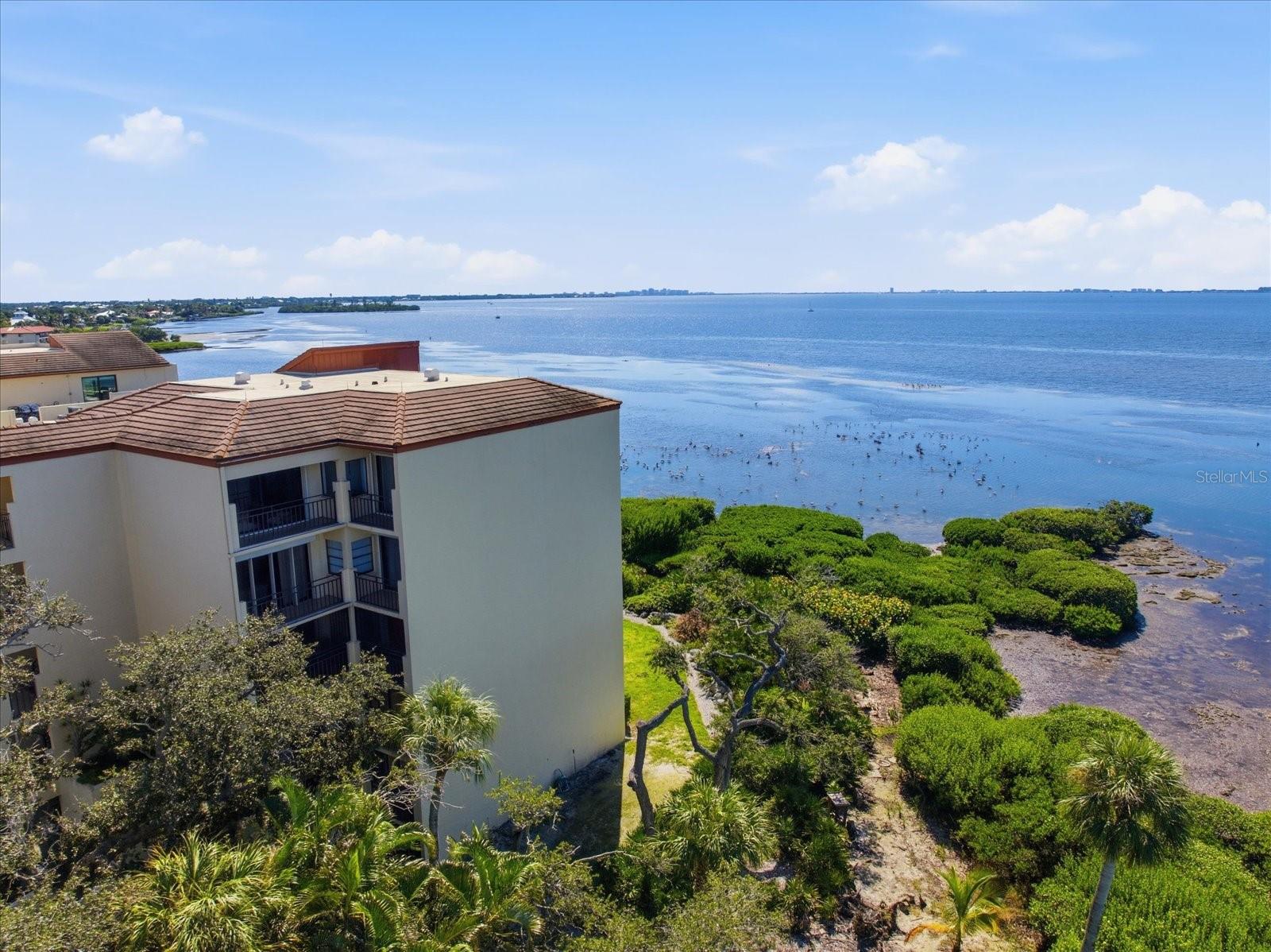 6460 MOURNING DOVE DRIVE, #305, Bradenton, FL 34210