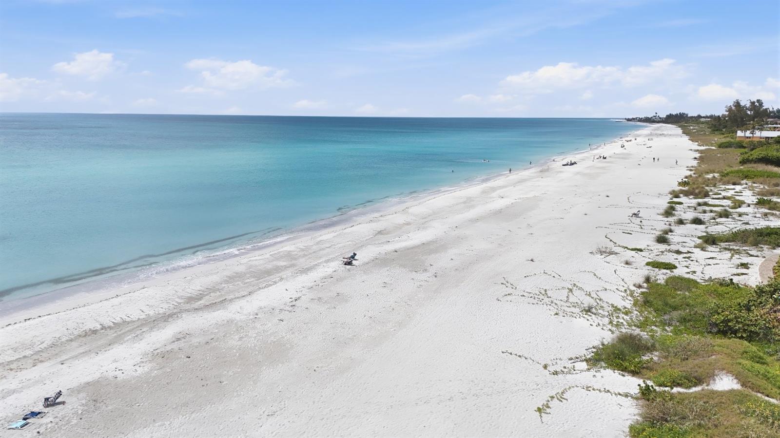 Perfect Longboat Key Beach location
