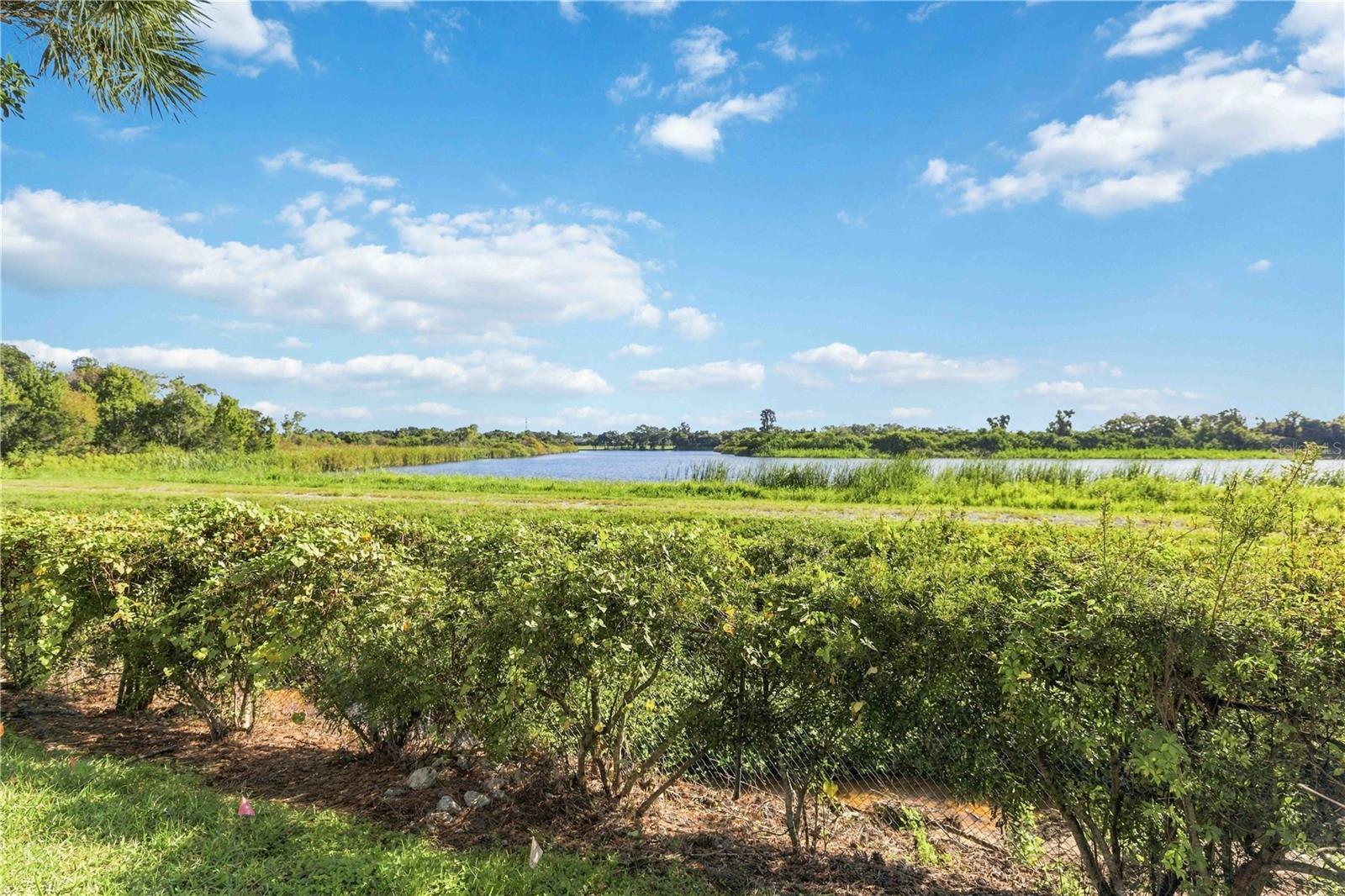 5691 KEY LARGO COURT, #5691, Bradenton, FL 34203