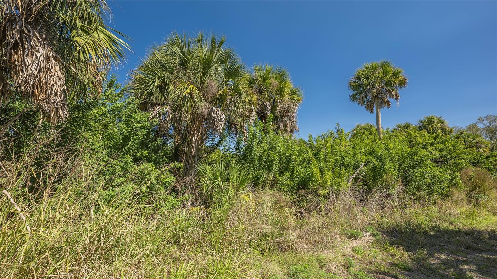 PARKER DRIVE, Venice, FL 34292