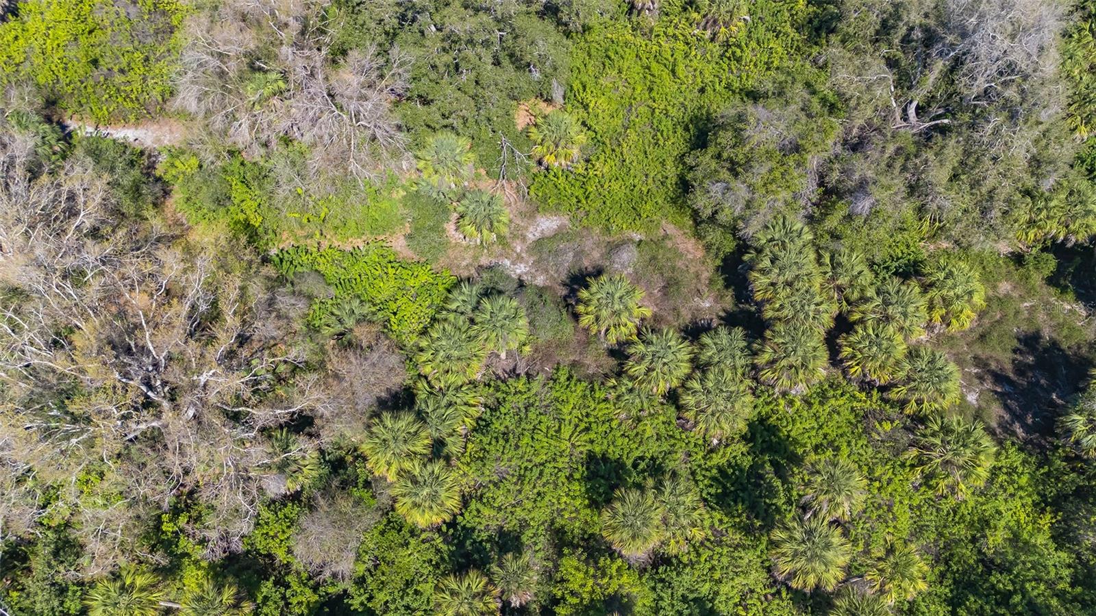 PARKER DRIVE, Venice, FL 34292