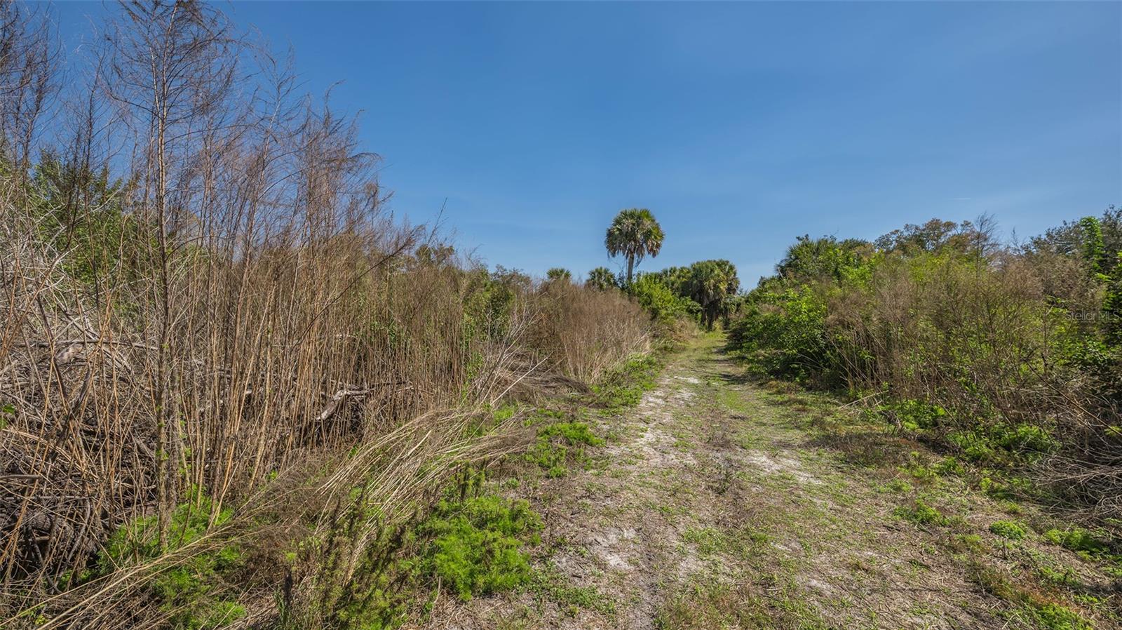 PARKER DRIVE, Venice, FL 34292