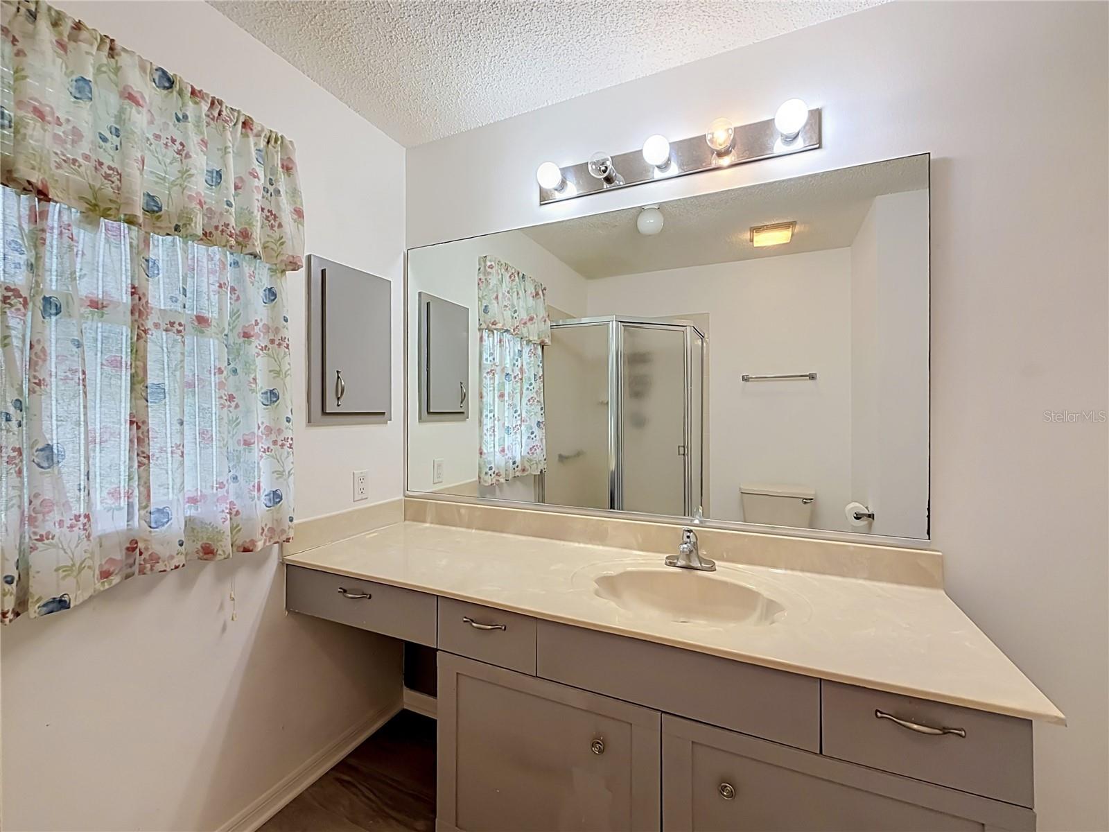 1607 COG HILL DRIVE, Lady Lake, FL 32159
