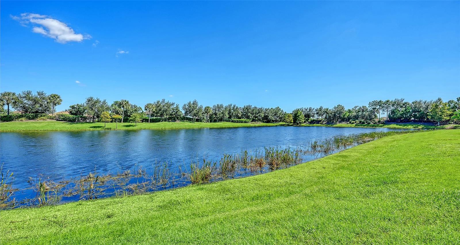 13310 TORRESINA TERRACE, Bradenton, FL 34211
